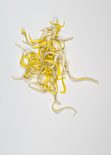 Salvia glutinosa, 2021 

Fine Art Print, 59,4 x 42 cm, im Rahmen 71 x 51 cm, Künstlerrahmung
Auflage: 1/1, rückseitig signiert

AUSRUFPREIS: 950.-